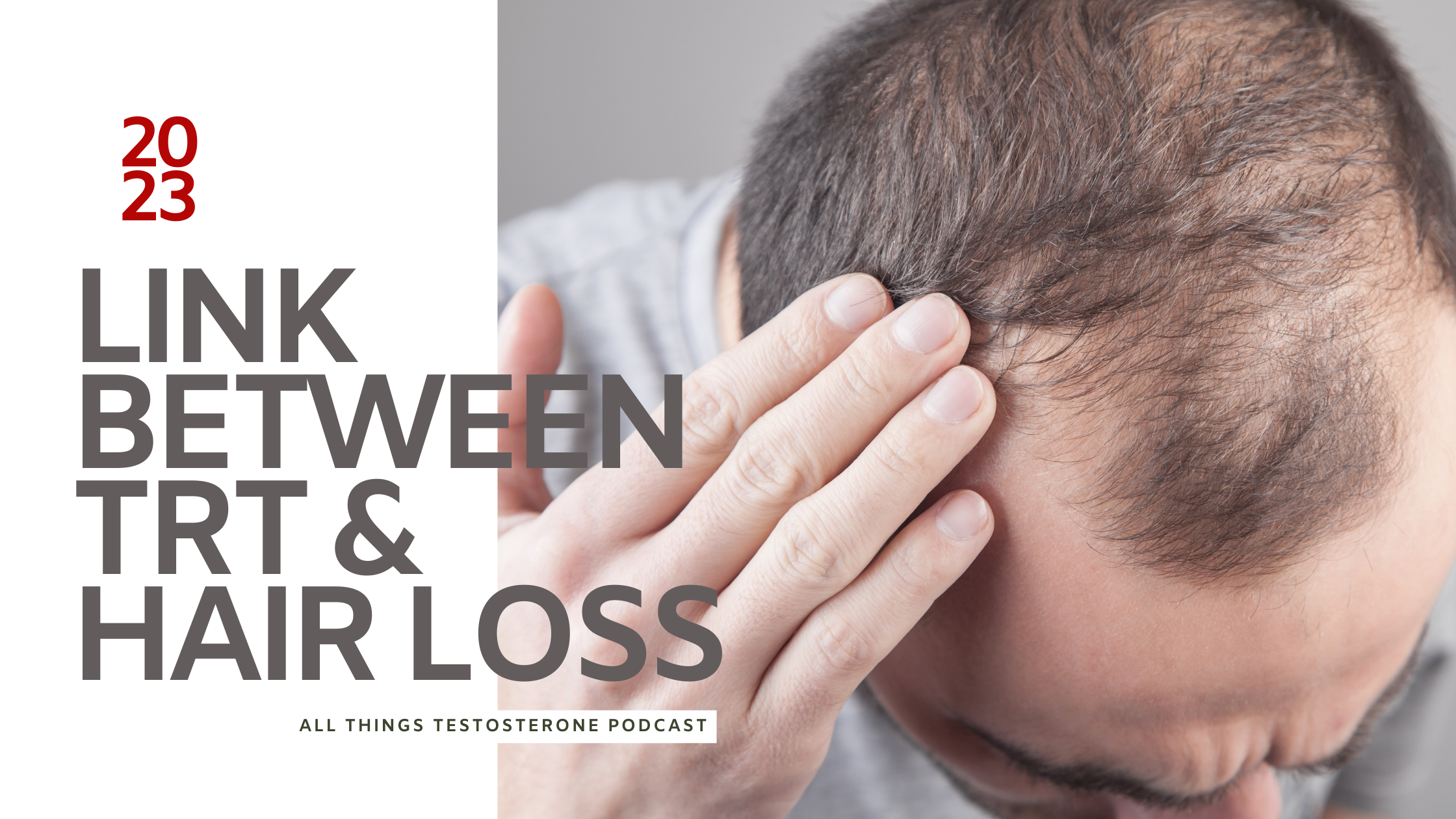 The Link Between Testosterone and Hair Loss - All Things Testosterone  Podcast